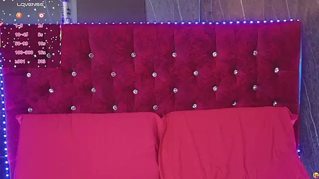 Cony_l webcam
