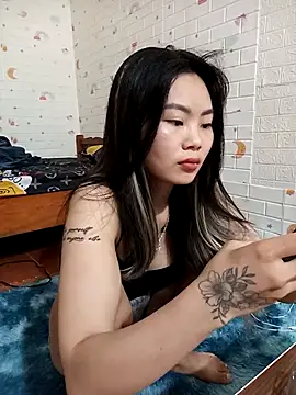 Lynk2x webcam