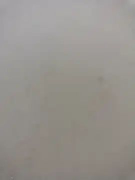 CDNSCOCPL webcam