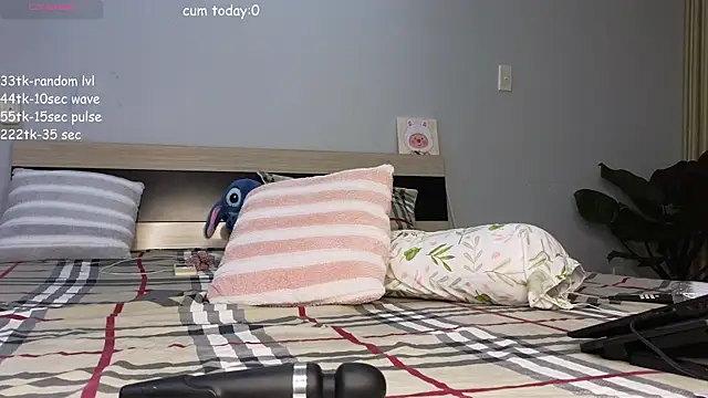 sop-hie webcam