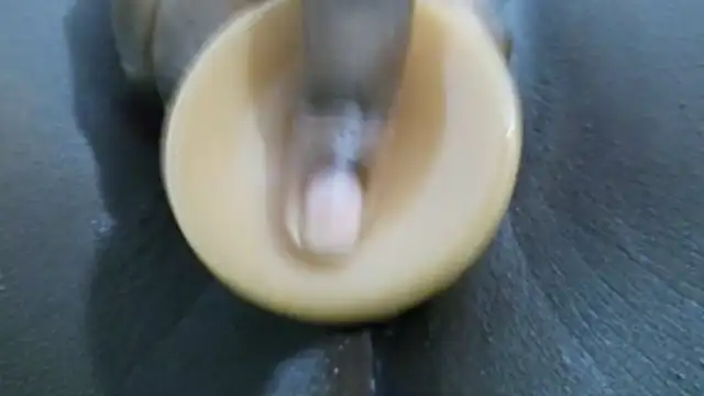 pinkycat webcam