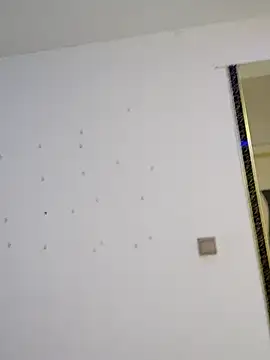 guozuo webcam