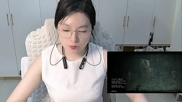 Erya-369 webcam