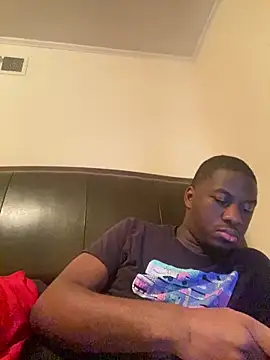 ThickDic28 webcam