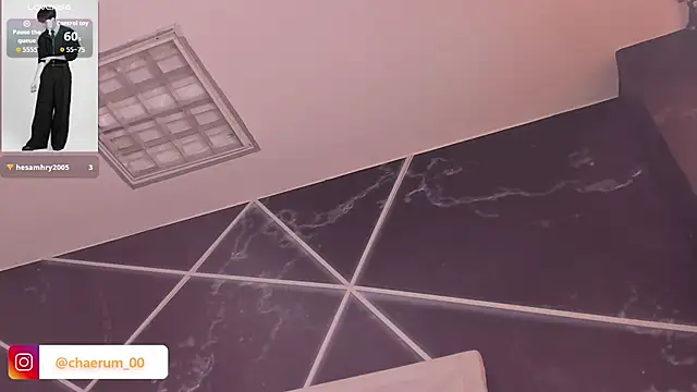 AerumChae webcam