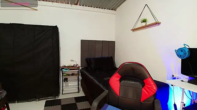 colinbrown webcam