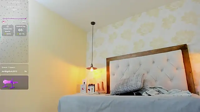 CAMILAGRAY webcam