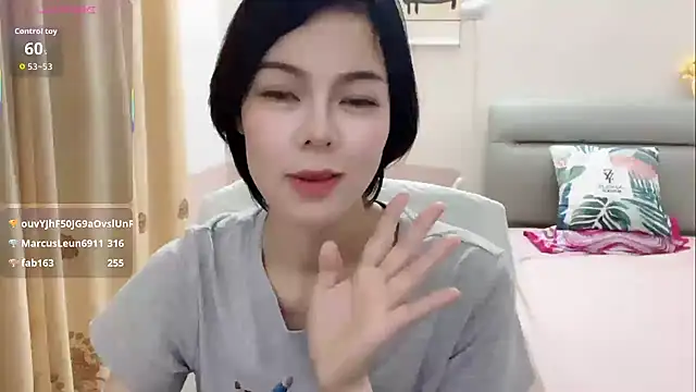 Linda-LL webcam