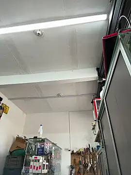 Paul22cm- webcam