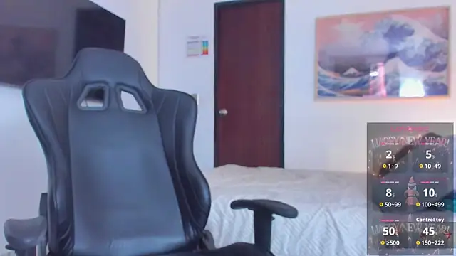RJBarto webcam