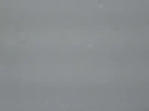 junglibilli_punjab webcam