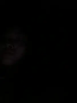 Zbnmji webcam