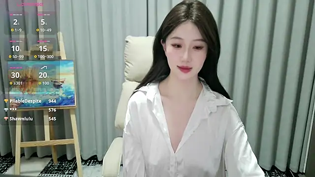 LUNYI-CC webcam