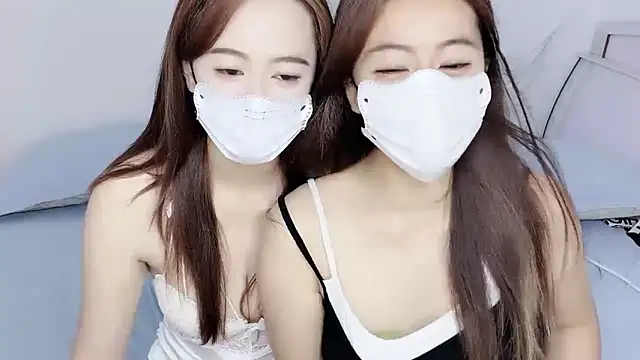Dollar-2 webcam