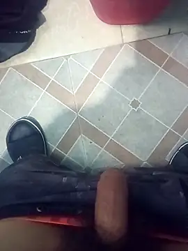 Vandicrioot webcam