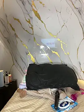 Tinakitten webcam