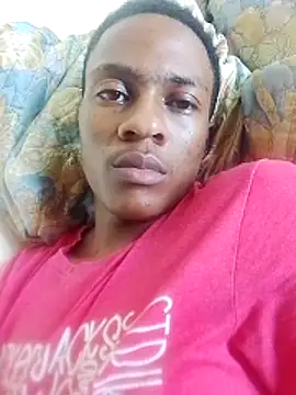 zitolo webcam