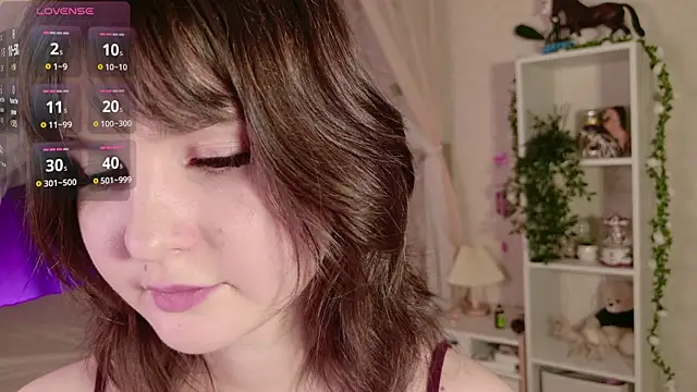 LeraKit webcam