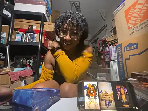 wynterheat webcam