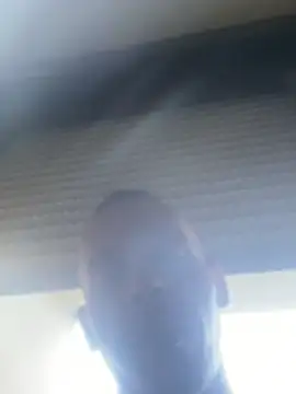 demongentil webcam