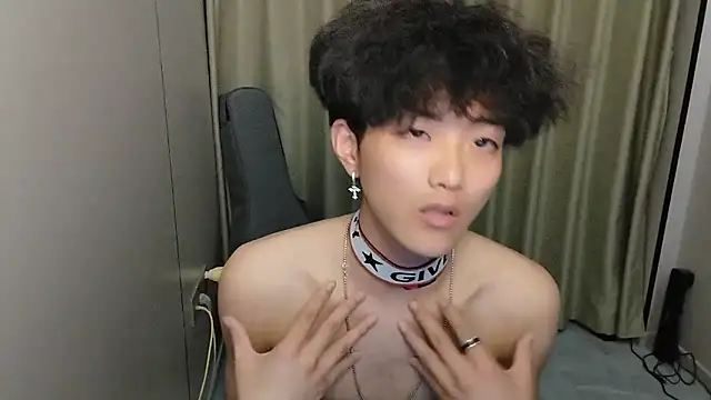 wssoo11 webcam