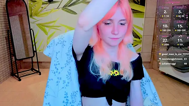 fleximona webcam