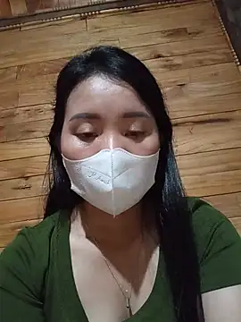 Td3di webcam