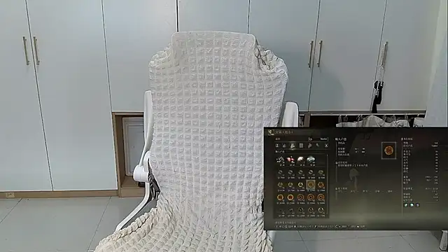 Erya-369 webcam