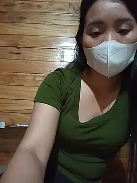 Td3di webcam