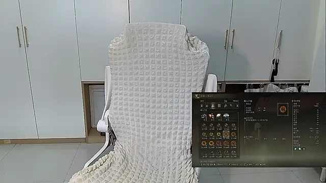 Erya-369 webcam