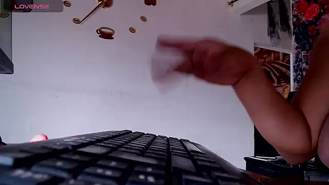 SEBAIS4YOU webcam
