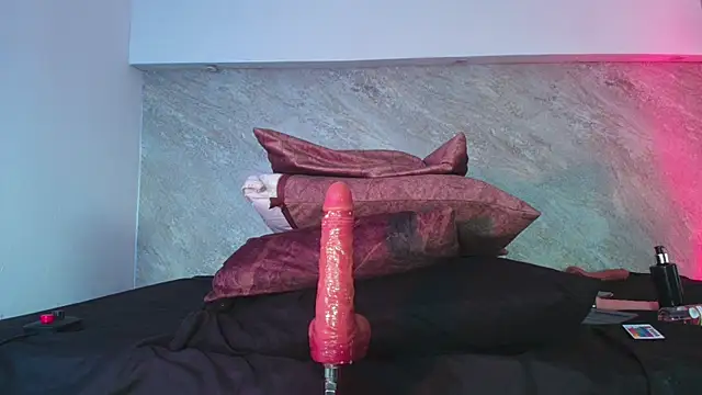 Dixie_grey1 webcam