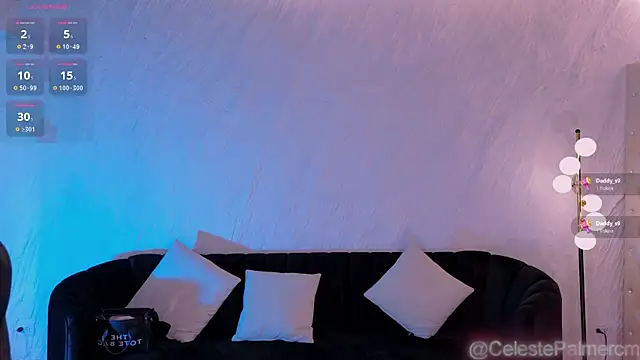 CelestePalmer_ webcam