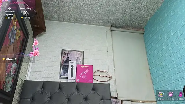 SALOME_KORLAND webcam
