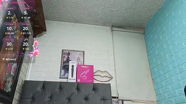 SALOME_KORLAND webcam