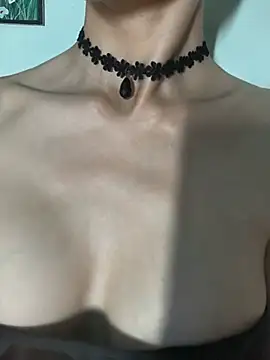 Pu688 webcam