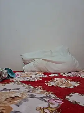 altinya webcam