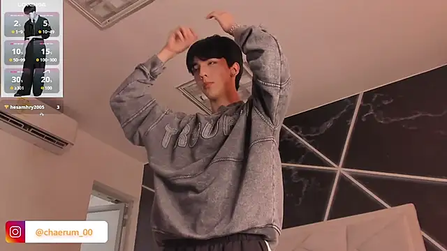 AerumChae webcam