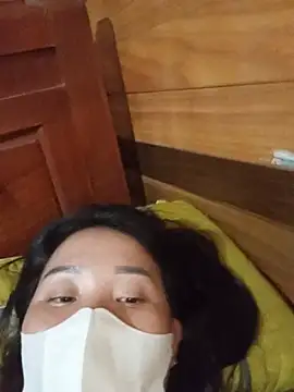 Td3di webcam