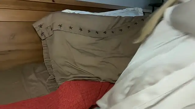 chelsea_strip webcam