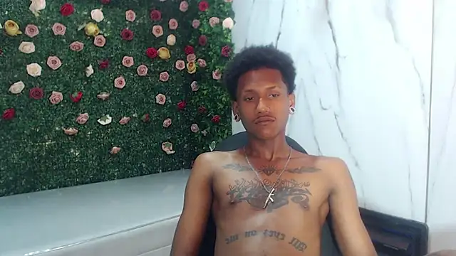 ManSant webcam