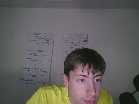 VelvetRagottiOG webcam