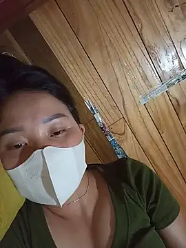 Td3di webcam
