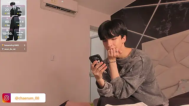 AerumChae webcam