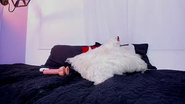 dakotaharrise webcam