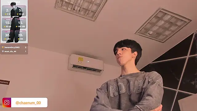 AerumChae webcam