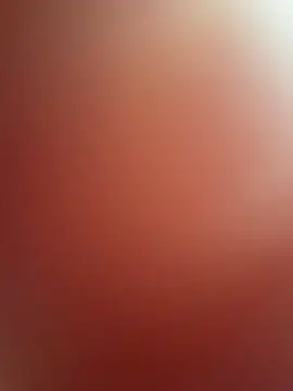 -Straycat- webcam