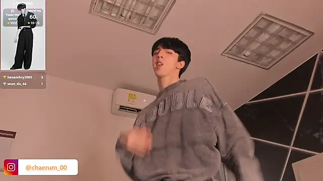 AerumChae webcam