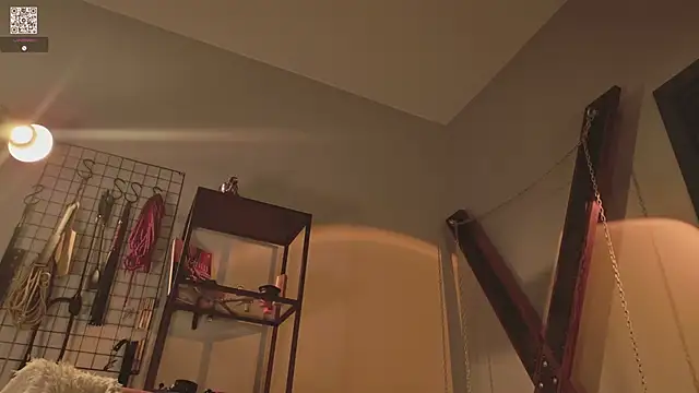 VortexProject webcam
