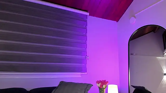 MERIDA_TAYLOR webcam